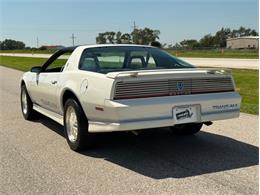 1984 Pontiac Firebird Trans Am (CC-2107743) for sale in Lincoln, Nebraska