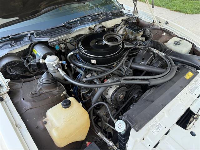 1984 Pontiac Firebird Trans Am (CC-2107743) for sale in Lincoln, Nebraska