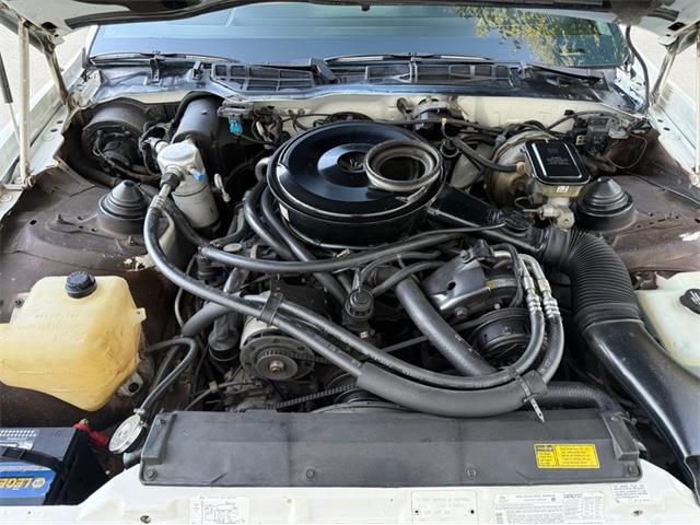 1984 Pontiac Firebird Trans Am (CC-2107743) for sale in Lincoln, Nebraska