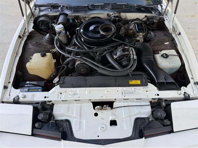 1984 Pontiac Firebird Trans Am (CC-2107743) for sale in Lincoln, Nebraska