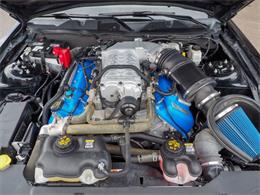 2014 Ford Shelby GT500  (CC-2107746) for sale in Englewood, Colorado
