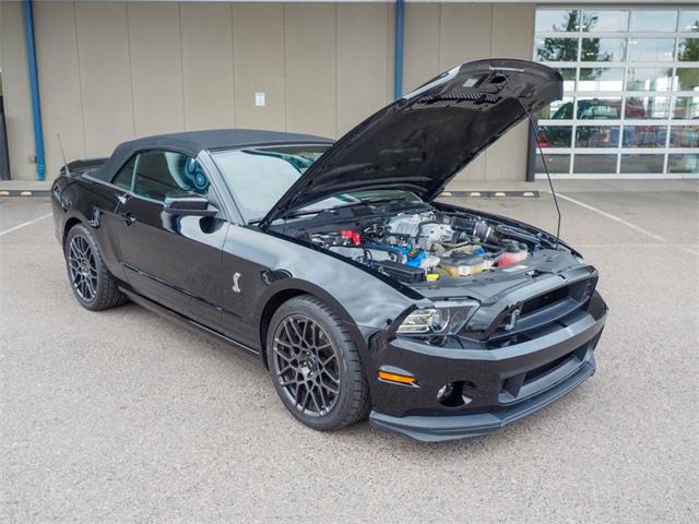 2014 Ford Shelby GT500  (CC-2107746) for sale in Englewood, Colorado