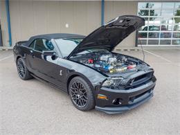 2014 Ford Shelby GT500  (CC-2107746) for sale in Englewood, Colorado