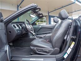 2014 Ford Shelby GT500  (CC-2107746) for sale in Englewood, Colorado