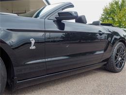 2014 Ford Shelby GT500  (CC-2107746) for sale in Englewood, Colorado