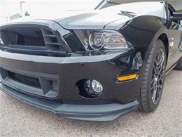 2014 Ford Shelby GT500  (CC-2107746) for sale in Englewood, Colorado
