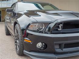 2014 Ford Shelby GT500  (CC-2107746) for sale in Englewood, Colorado