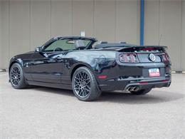 2014 Ford Shelby GT500  (CC-2107746) for sale in Englewood, Colorado