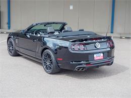 2014 Ford Shelby GT500  (CC-2107746) for sale in Englewood, Colorado