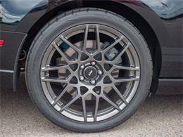 2014 Ford Shelby GT500  (CC-2107746) for sale in Englewood, Colorado