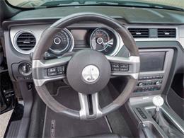 2014 Ford Shelby GT500  (CC-2107746) for sale in Englewood, Colorado