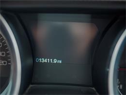 2014 Ford Shelby GT500  (CC-2107746) for sale in Englewood, Colorado