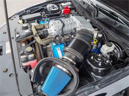 2014 Ford Shelby GT500  (CC-2107746) for sale in Englewood, Colorado