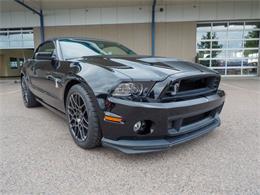 2014 Ford Shelby GT500  (CC-2107746) for sale in Englewood, Colorado