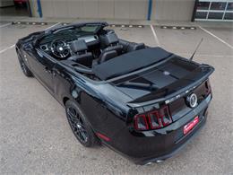 2014 Ford Shelby GT500  (CC-2107746) for sale in Englewood, Colorado