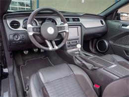 2014 Ford Shelby GT500  (CC-2107746) for sale in Englewood, Colorado