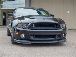 2014 Ford Shelby GT500  (CC-2107746) for sale in Englewood, Colorado