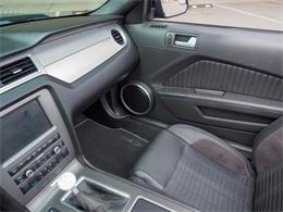 2014 Ford Shelby GT500  (CC-2107746) for sale in Englewood, Colorado