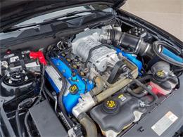 2014 Ford Shelby GT500  (CC-2107746) for sale in Englewood, Colorado
