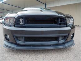 2014 Ford Shelby GT500  (CC-2107746) for sale in Englewood, Colorado