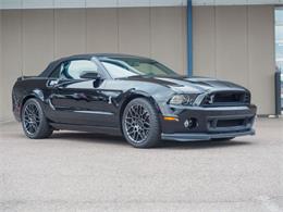 2014 Ford Shelby GT500  (CC-2107746) for sale in Englewood, Colorado