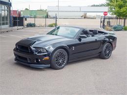 2014 Ford Shelby GT500  (CC-2107746) for sale in Englewood, Colorado