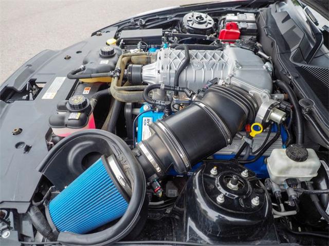 2014 Ford Shelby GT500  (CC-2107746) for sale in Englewood, Colorado