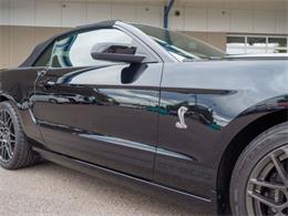 2014 Ford Shelby GT500  (CC-2107746) for sale in Englewood, Colorado