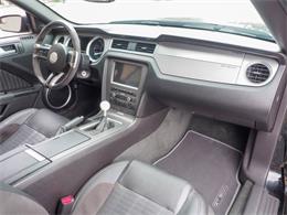2014 Ford Shelby GT500  (CC-2107746) for sale in Englewood, Colorado