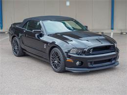 2014 Ford Shelby GT500  (CC-2107746) for sale in Englewood, Colorado
