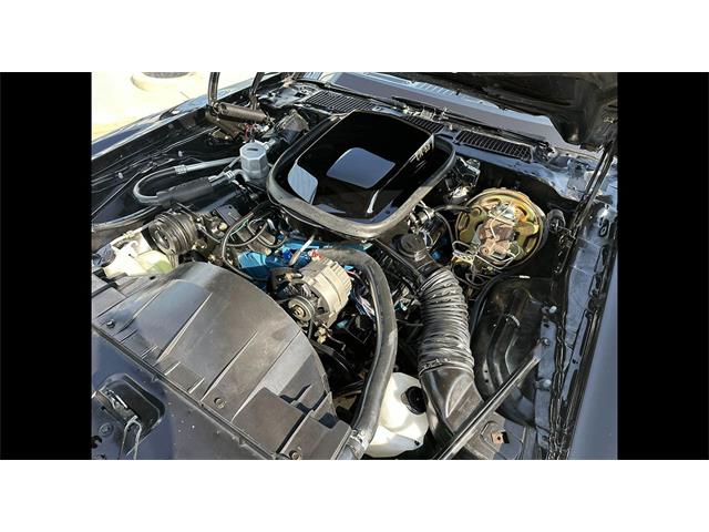 1978 Pontiac Firebird (CC-2107784) for sale in Biloxi, Mississippi