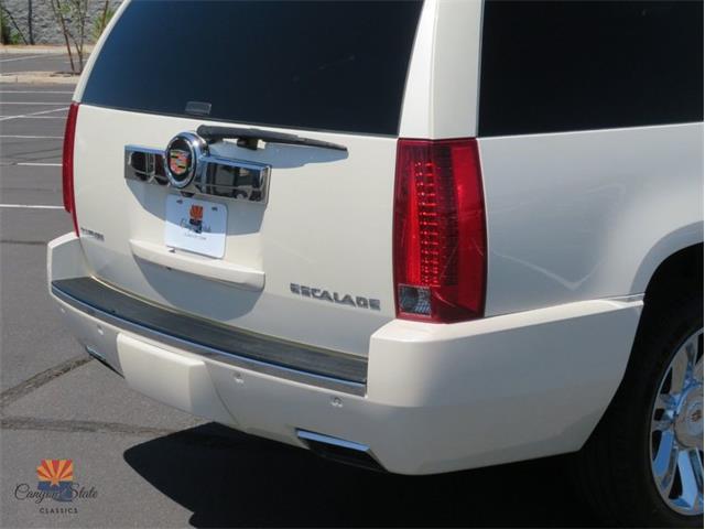 2014 Cadillac Escalade (CC-2100078) for sale in Mesa, Arizona