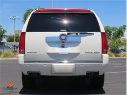 2014 Cadillac Escalade (CC-2100078) for sale in Mesa, Arizona