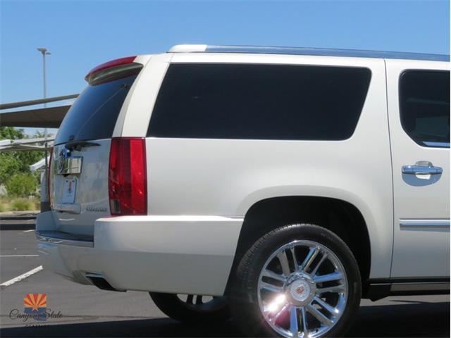 2014 Cadillac Escalade (CC-2100078) for sale in Mesa, Arizona