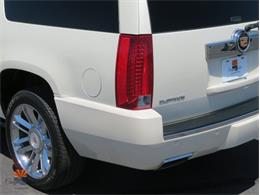 2014 Cadillac Escalade (CC-2100078) for sale in Mesa, Arizona
