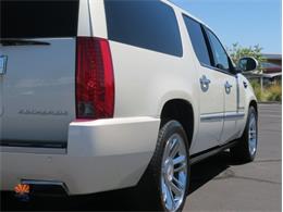 2014 Cadillac Escalade (CC-2100078) for sale in Mesa, Arizona