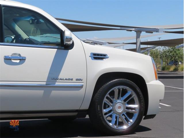 2014 Cadillac Escalade (CC-2100078) for sale in Mesa, Arizona