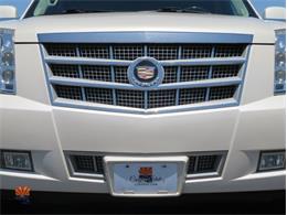 2014 Cadillac Escalade (CC-2100078) for sale in Mesa, Arizona