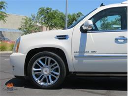 2014 Cadillac Escalade (CC-2100078) for sale in Mesa, Arizona
