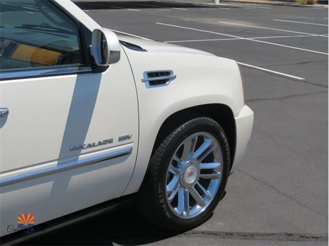 2014 Cadillac Escalade (CC-2100078) for sale in Mesa, Arizona
