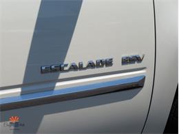 2014 Cadillac Escalade (CC-2100078) for sale in Mesa, Arizona