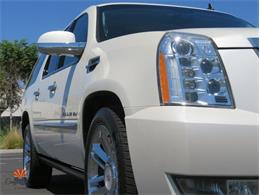 2014 Cadillac Escalade (CC-2100078) for sale in Mesa, Arizona
