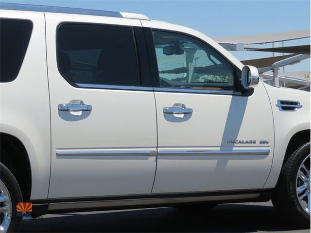2014 Cadillac Escalade (CC-2100078) for sale in Mesa, Arizona