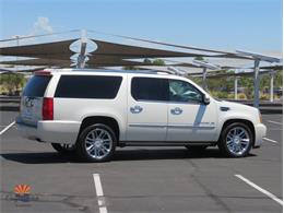 2014 Cadillac Escalade (CC-2100078) for sale in Mesa, Arizona