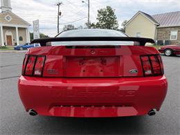 2003 Ford Mustang Mach 1 (CC-2107822) for sale in Marshall, Virginia