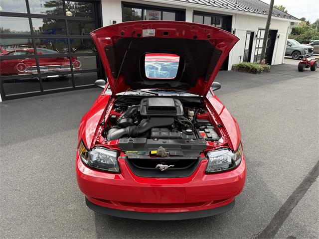 2003 Ford Mustang Mach 1 (CC-2107822) for sale in Marshall, Virginia