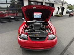 2003 Ford Mustang Mach 1 (CC-2107822) for sale in Marshall, Virginia