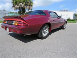 1981 Chevrolet Camaro Z28 (CC-2107828) for sale in APOPKA, Florida