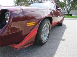 1981 Chevrolet Camaro Z28 (CC-2107828) for sale in APOPKA, Florida