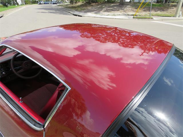 1981 Chevrolet Camaro Z28 (CC-2107828) for sale in APOPKA, Florida